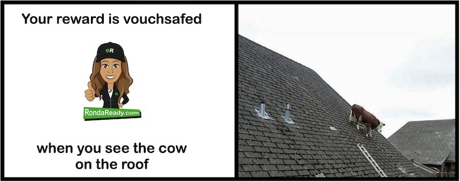 Your reward is vouchsafed when you see the cow on the roof