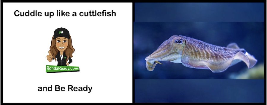 Cuddle up like a cuttlefish and Be Ready