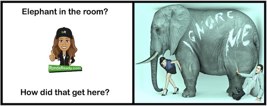 Elephant in the room? How did that get here?