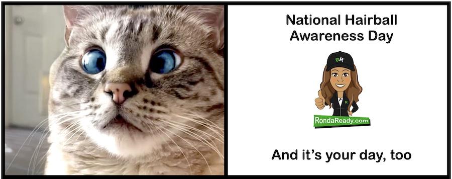 National hairball awareness day is your day, too
