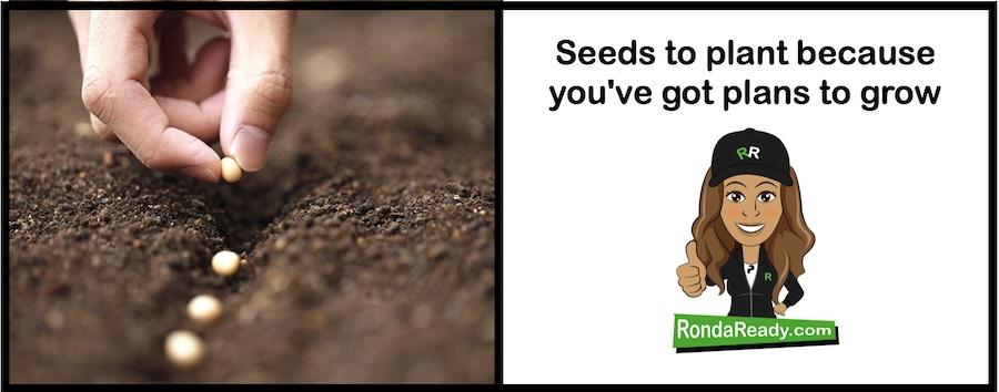 Seeds to plant because you've got plans to grow
